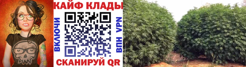 Купить Кяхта Cocaine  Гашиш  Alpha-PVP  Канабис 