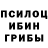 Галлюциногенные грибы Psilocybe Liero Brigshez