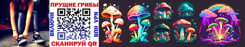 Галлюциногенные грибы Psilocybine cubensis  kraken tor  Кяхта 